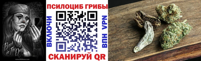 сколько стоит  Новоалтайск  Псилоцибиновые грибы прущие грибы 