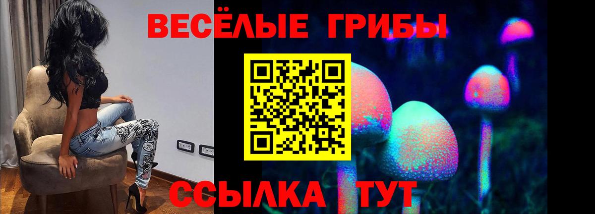 Галлюциногенные грибы прущие грибы Новоалтайск