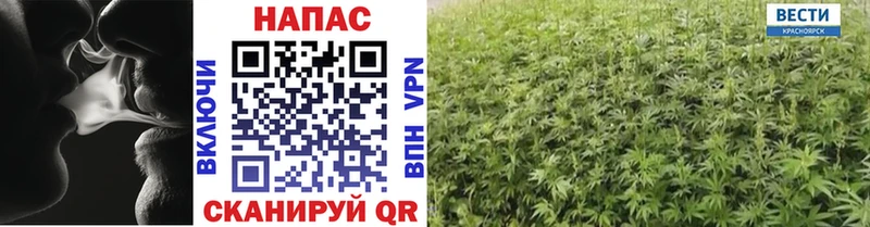 MEGA ONION  где можно купить   Новоалтайск  Каннабис конопля 